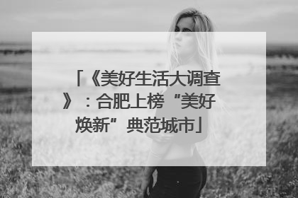 《美好生活大调查》：合肥上榜“美好焕新”典范城市