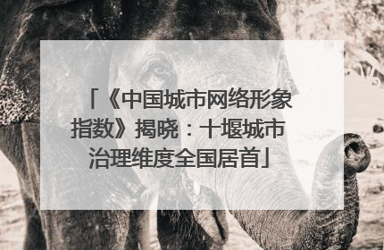 《中国城市网络形象指数》揭晓：十堰城市治理维度全国居首