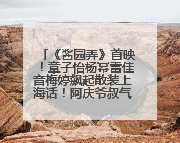 《酱园弄》首映！章子怡杨幂雷佳音梅婷飙起散装上海话！阿庆爷叔气氛组！独独没见他……