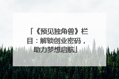 《预见独角兽》栏目：解锁创业密码，助力梦想启航