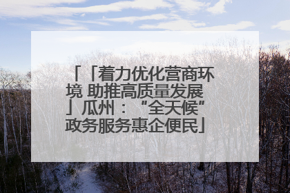 「着力优化营商环境 助推高质量发展」瓜州：“全天候”政务服务惠企便民