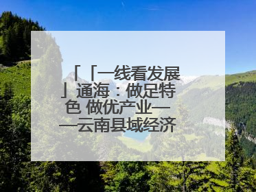 「一线看发展」通海：做足特色 做优产业——云南县域经济样本观察之二
