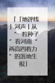 「地评线」河声丨从“一粒种子”看河南“两高四着力”的落地生根