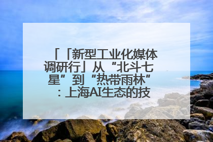 「新型工业化媒体调研行」从“北斗七星”到“热带雨林”：上海AI生态的技术商业共生密码