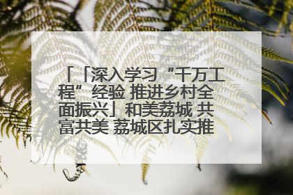 「深入学习“千万工程”经验 推进乡村全面振兴」和美荔城 共富共美 荔城区扎实推进乡村振兴工作