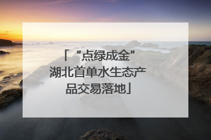 “点绿成金” 湖北首单水生态产品交易落地