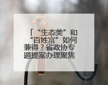 “生态美”和“百姓富”如何兼得？省政协专题提案办理聚焦共富绿色引擎