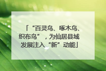 “百灵鸟、啄木鸟、织布鸟”，为仙居县域发展注入“新”动能