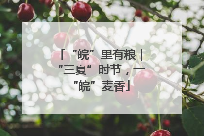 “皖”里有粮｜“三夏”时节，一“皖”麦香