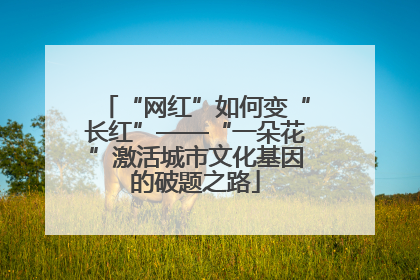 “网红”如何变“长红”——“一朵花”激活城市文化基因的破题之路