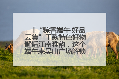 “粽香端午·好品云集”千款特色好物邂逅江南雅韵，这个端午来吴山广场解锁“浙里烟火气”