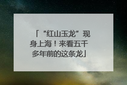 “红山玉龙”现身上海！来看五千多年前的这条龙