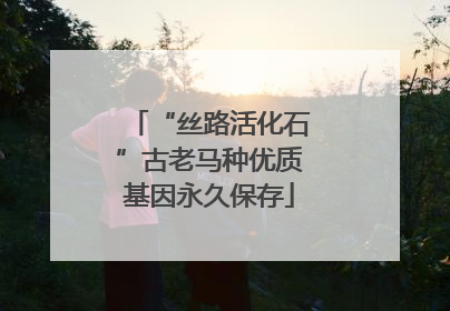“丝路活化石”古老马种优质基因永久保存