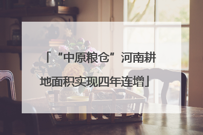 “中原粮仓”河南耕地面积实现四年连增