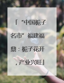 “中国栀子名市”福建福鼎：栀子花开，产业兴旺