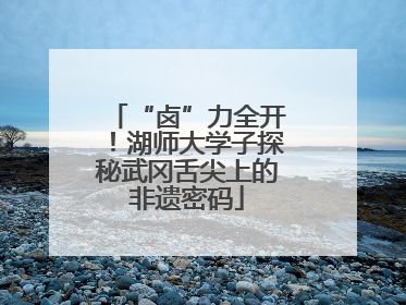 “卤”力全开！湖师大学子探秘武冈舌尖上的非遗密码