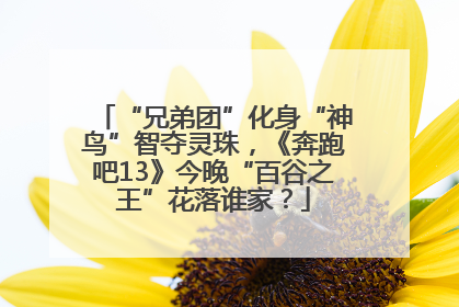 “兄弟团”化身“神鸟”智夺灵珠，《奔跑吧13》今晚“百谷之王”花落谁家？
