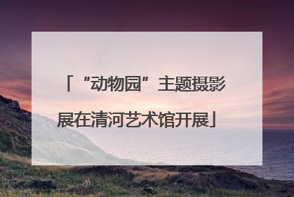 “动物园”主题摄影展在清河艺术馆开展