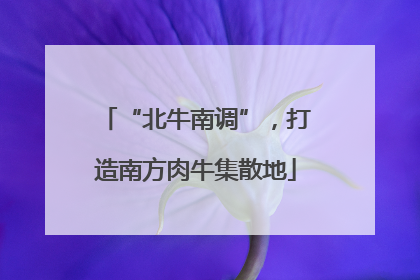 “北牛南调”，打造南方肉牛集散地
