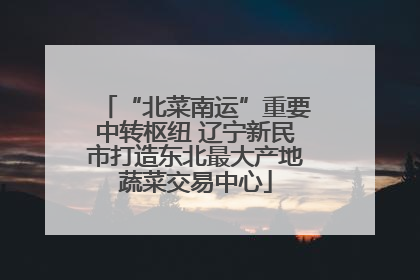 “北菜南运”重要中转枢纽 辽宁新民市打造东北最大产地蔬菜交易中心