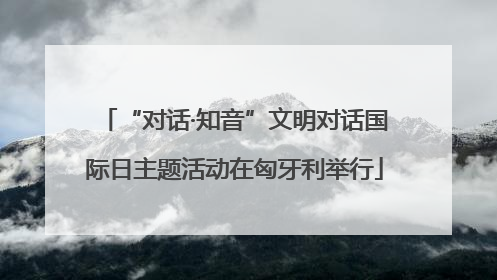 “对话·知音”文明对话国际日主题活动在匈牙利举行