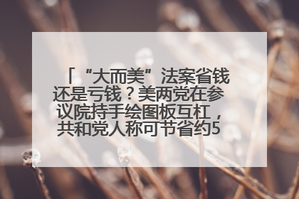 “大而美”法案省钱还是亏钱？美两党在参议院持手绘图板互杠，共和党人称可节省约5000亿美元，民主党人称将增加4.45万亿美元赤字