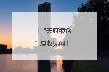 “天府粮仓”夏收见闻