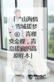 “山海情・雪域援梦”⑧：青稞变金稞，青岛援藏的高原样本