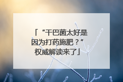 “干巴菌太好是因为打药施肥？”权威解读来了