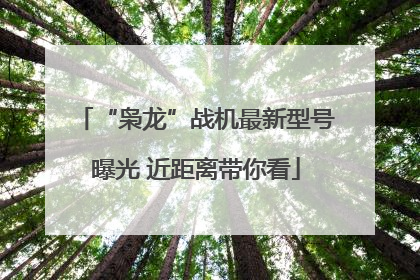 “枭龙”战机最新型号曝光 近距离带你看