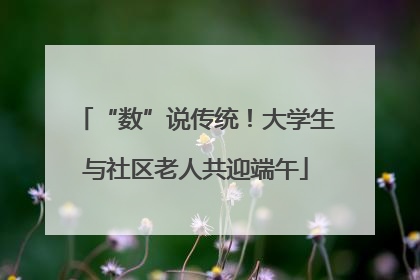 “数”说传统！大学生与社区老人共迎端午