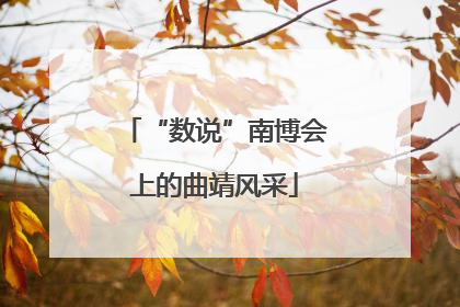 “数说”南博会上的曲靖风采