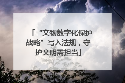 “文物数字化保护战略”写入法规，守护文明需担当