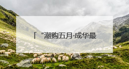 “潮购五月·成华最红消费月”启幕，政企联动共掀消费热潮