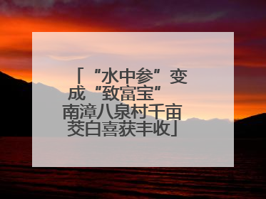 “水中参”变成“致富宝” 南漳八泉村千亩茭白喜获丰收
