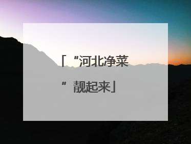 “河北净菜”靓起来