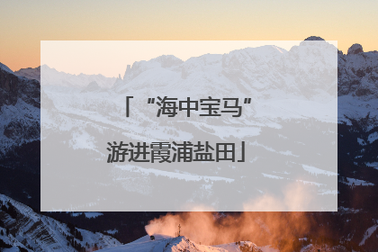 “海中宝马”游进霞浦盐田