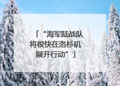 “海军陆战队将很快在洛杉矶展开行动”