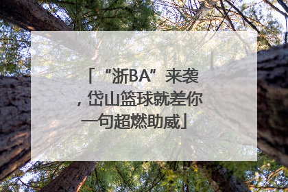 “浙BA”来袭，岱山篮球就差你一句超燃助威