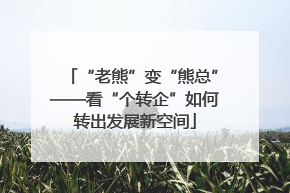 “老熊”变“熊总”——看“个转企”如何转出发展新空间