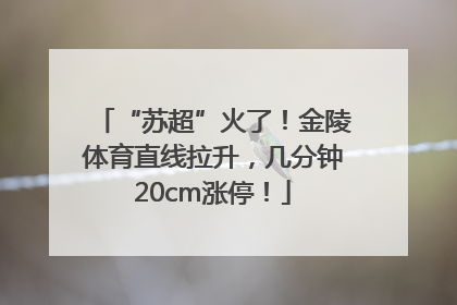 “苏超”火了！金陵体育直线拉升，几分钟20cm涨停！