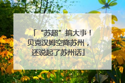 “苏超”搞大事！贝克汉姆空降苏州，还说起了苏州话
