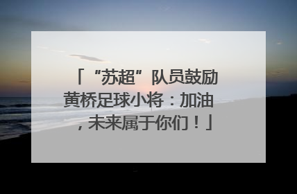 “苏超”队员鼓励黄桥足球小将：加油，未来属于你们！