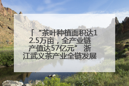 “茶叶种植面积达12.5万亩，全产业链产值达57亿元” 浙江武义茶产业全链发展“加速度”