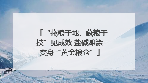 “藏粮于地、藏粮于技”见成效 盐碱滩涂变身“黄金粮仓”