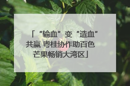 “输血”变“造血”共赢 粤桂协作助百色芒果畅销大湾区
