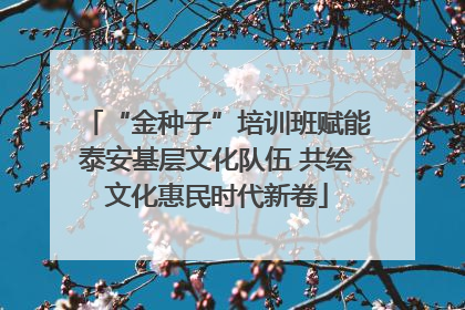 “金种子”培训班赋能泰安基层文化队伍 共绘文化惠民时代新卷