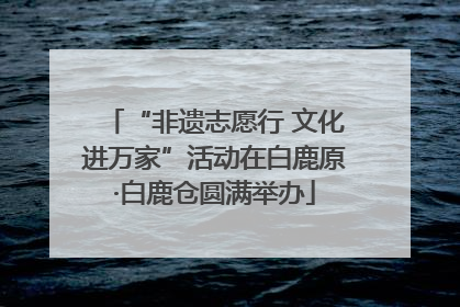“非遗志愿行 文化进万家”活动在白鹿原·白鹿仓圆满举办