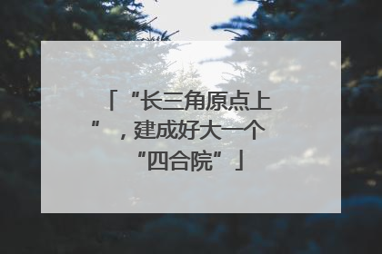 “长三角原点上”，建成好大一个“四合院”
