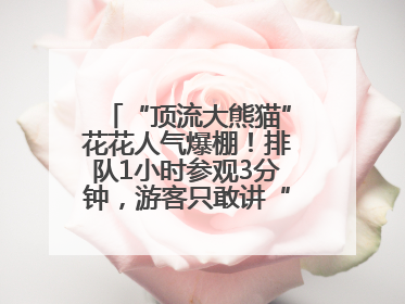 “顶流大熊猫”花花人气爆棚！排队1小时参观3分钟，游客只敢讲“悄悄话”
